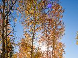 Eastern Sierra 009